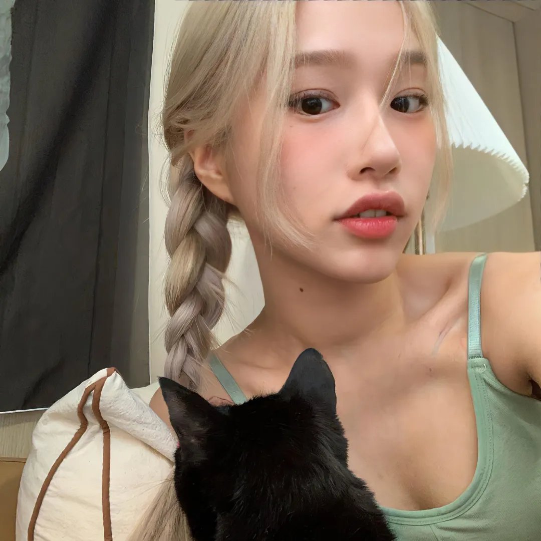北极大冒险